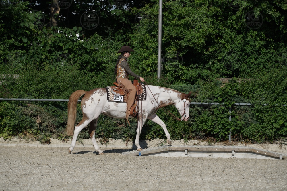 s_APF06819.jpg